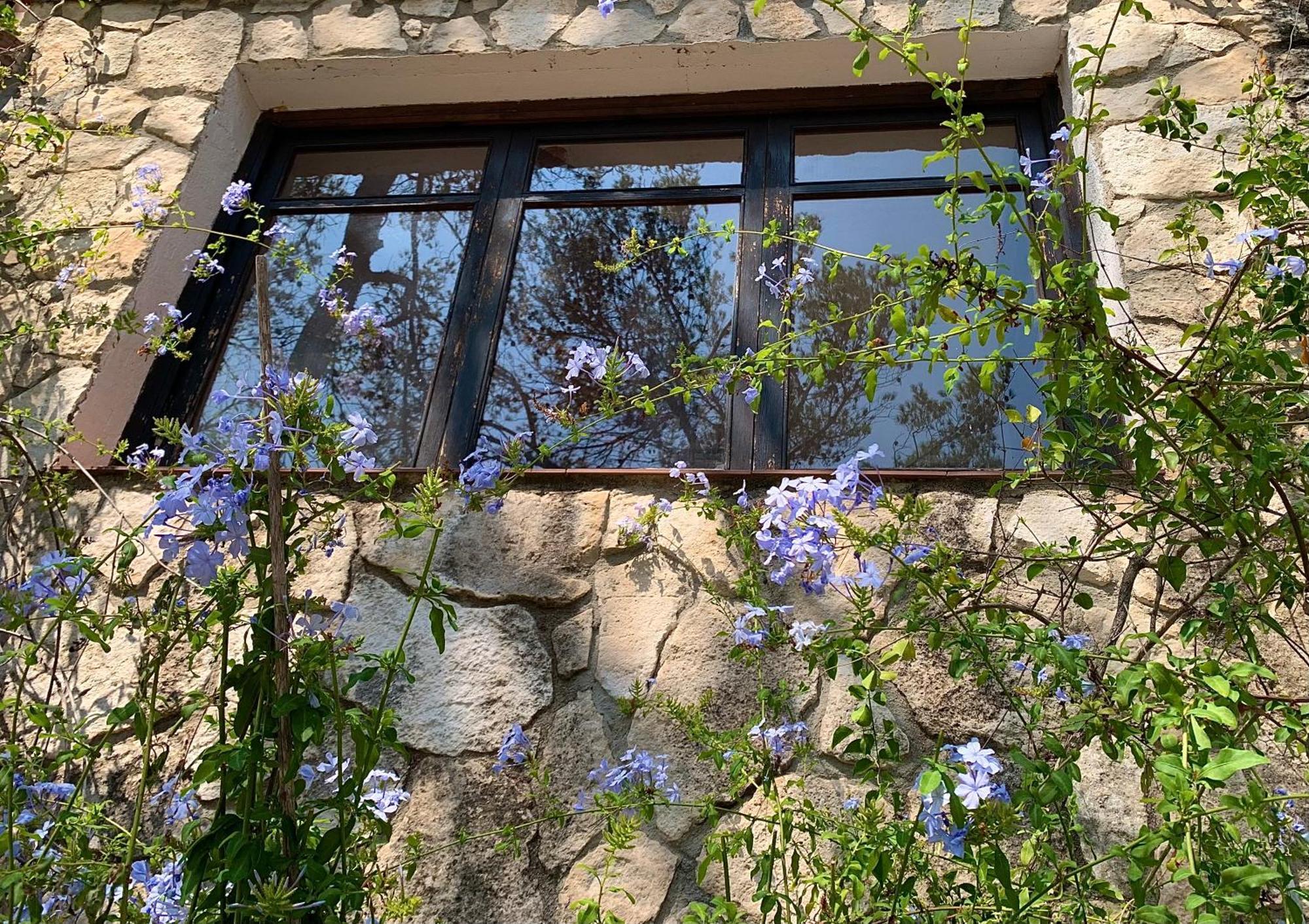 La Casita Del Bosque Appartement Sant Pere De Ribes Buitenkant foto
